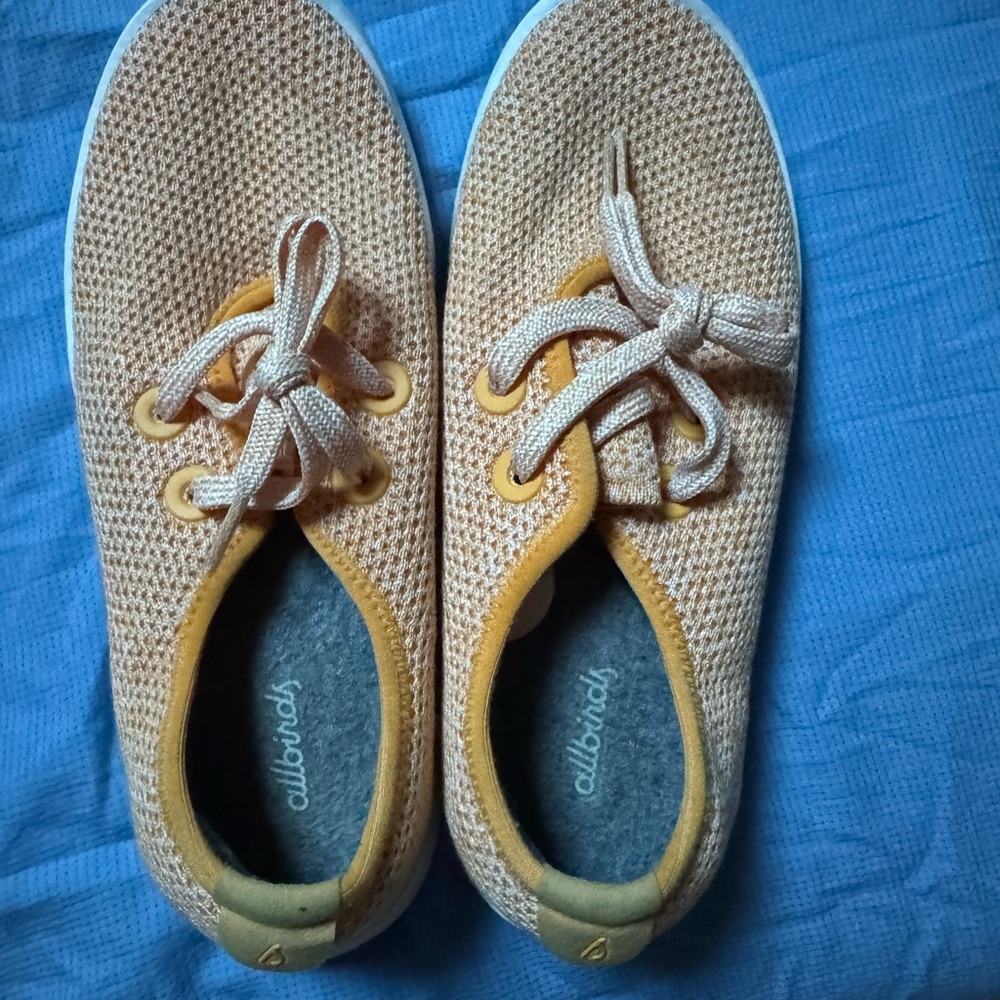 Allbirds Knit Sneakers in Orange